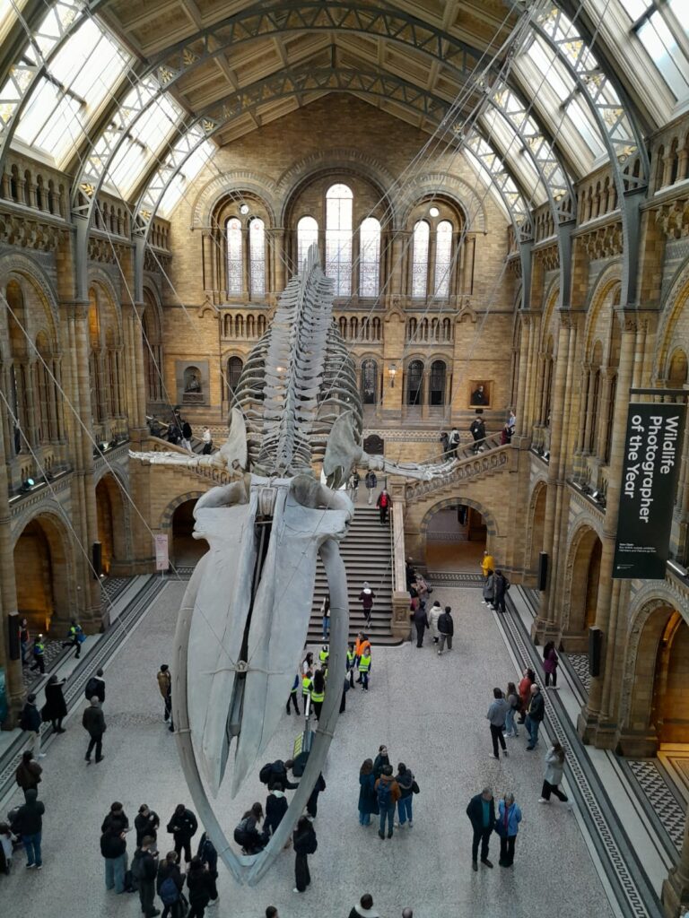Haute Follis sejour en Angleterre 2025 3