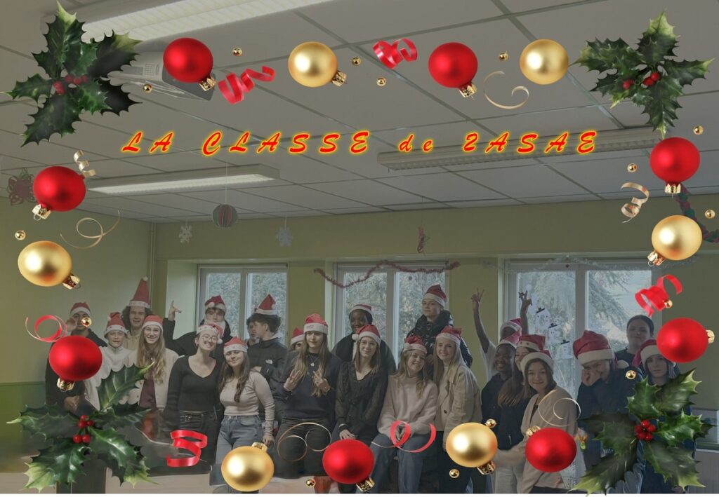 Concours de Noël : Les résultats sont là ! 3 2ASAE Photo