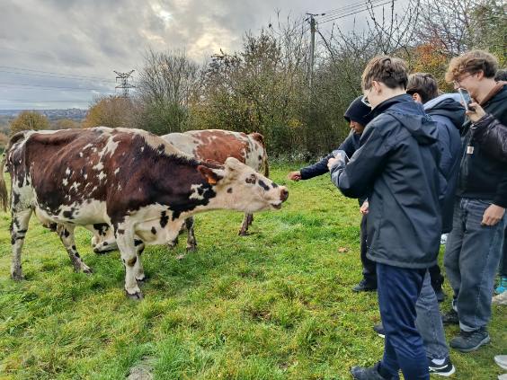 Visite de la ferme du Chenôt par nos élèves de 1ères STMG 5 thumbnail image0000041