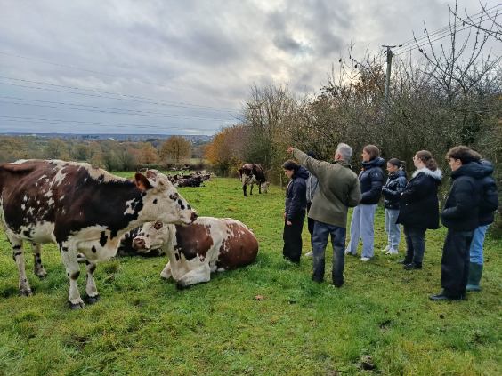 Visite de la ferme du Chenôt par nos élèves de 1ères STMG 4 thumbnail image0000051