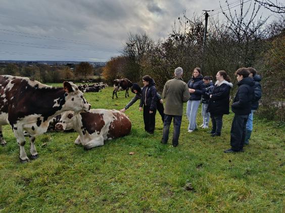 Visite de la ferme du Chenôt par nos élèves de 1ères STMG 3 thumbnail image0000061