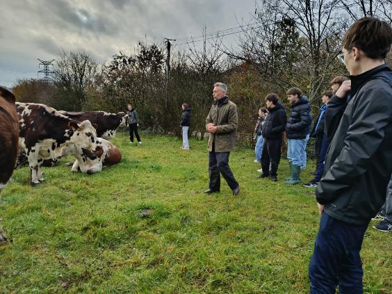 Visite de la ferme du Chenôt par nos élèves de 1ères STMG 2 thumbnail image0000071