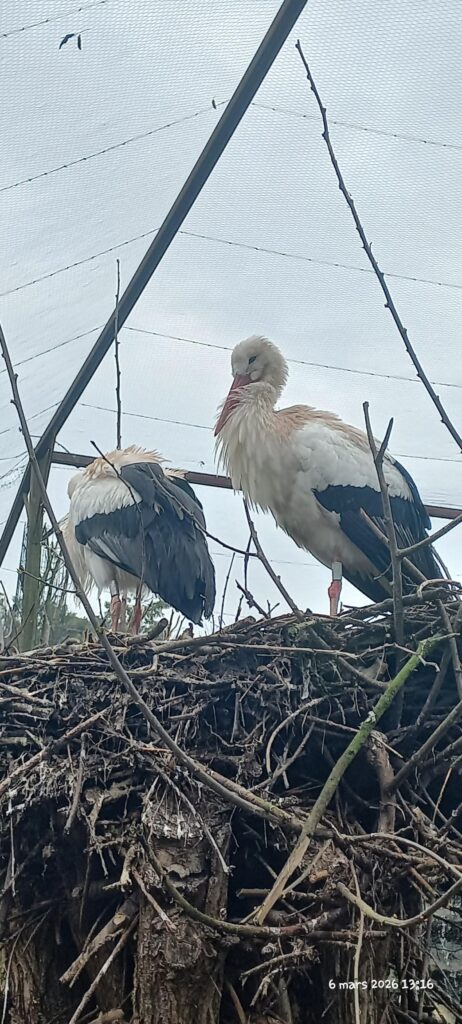 Sortie au Refuge de l’Arche ! 9 20260306 131640 1