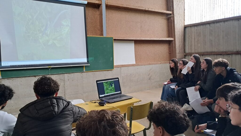 Sortir des manuels pour comprendre la réalité du terrain 1 20260306 140552