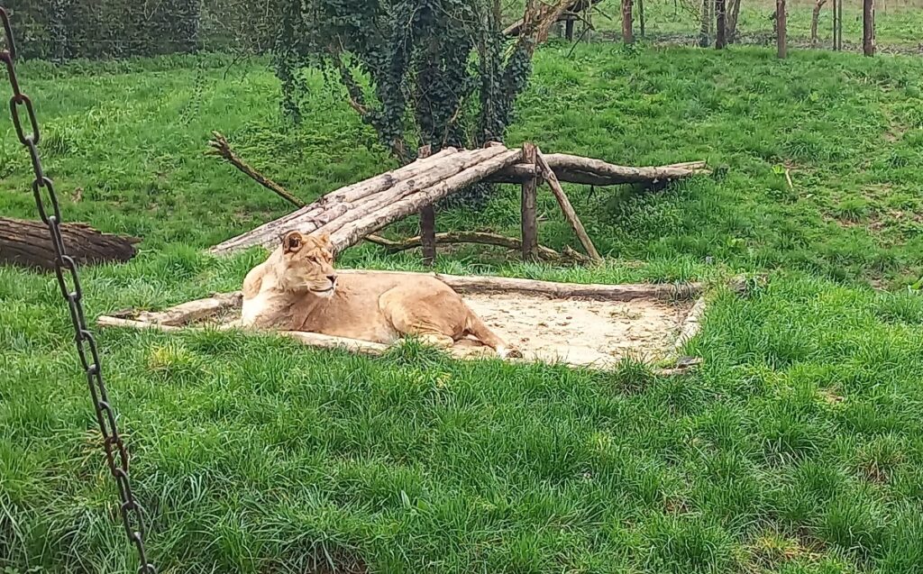 Sortie au Refuge de l’Arche ! 6 20260306 142959 1