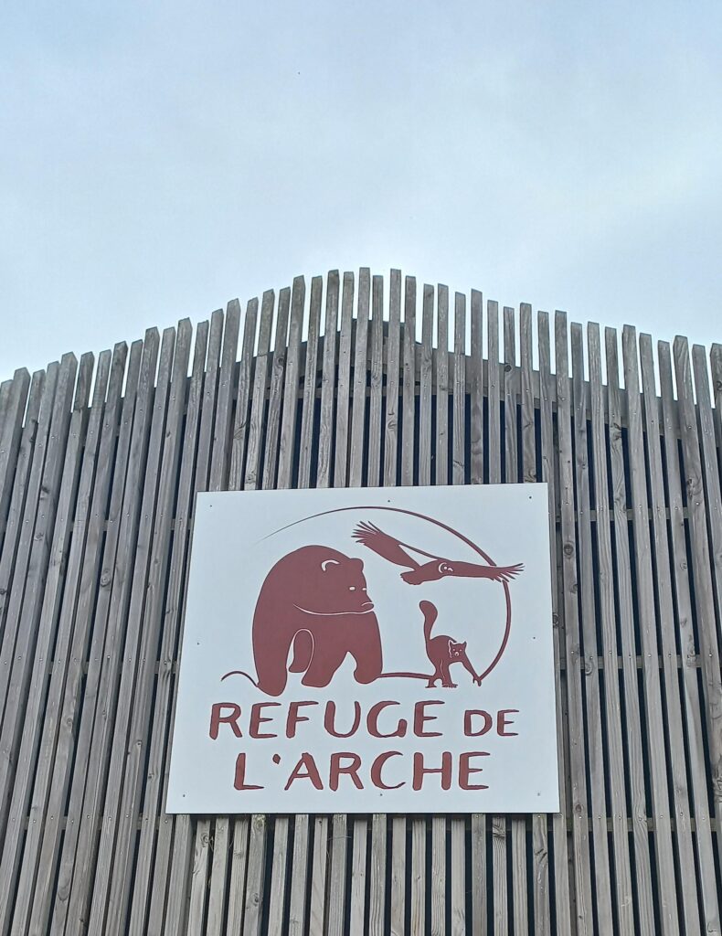 Sortie au Refuge de l’Arche ! 11 20260306 145908 1